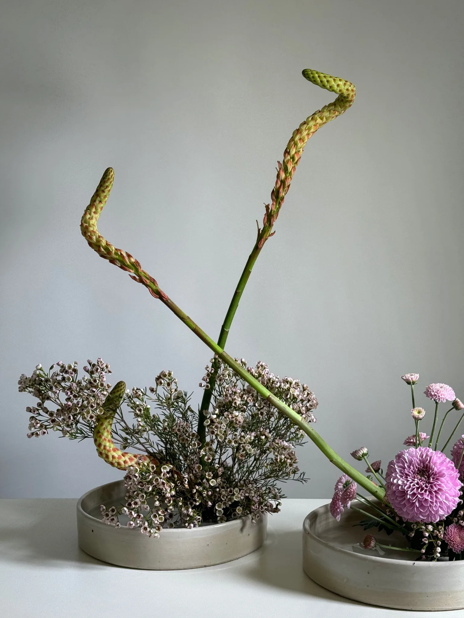 AnnaFairyTale-jardins-enchantés-ikebana (1)