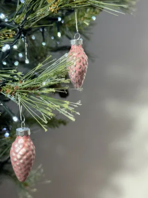 Ornement de Noël : Cône en verre, 12 pièces Magnifique magnolia, boîte