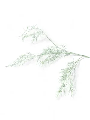 Branche décorative de Noël : asparagus givrée, 85 cm