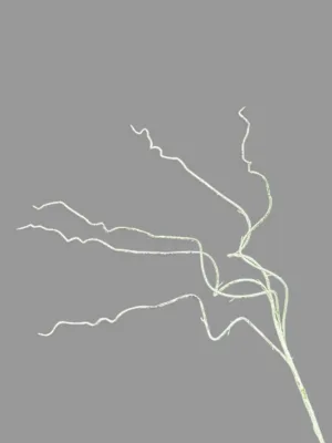 Branche décorative de Noël : Graspray givré, 80 cm