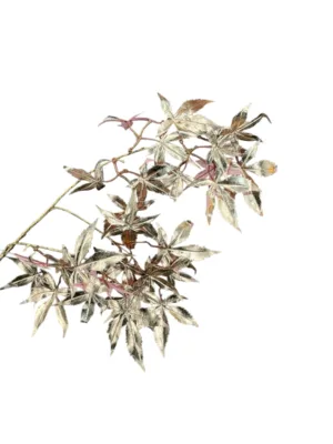 Branche décorative de Noël : Branche de cloche en métal d'érable, Or rose, H-86 cm