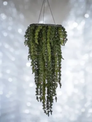 Objet de décoration: Affichage plafond de pin-cône de pin vert, 96,5 cm