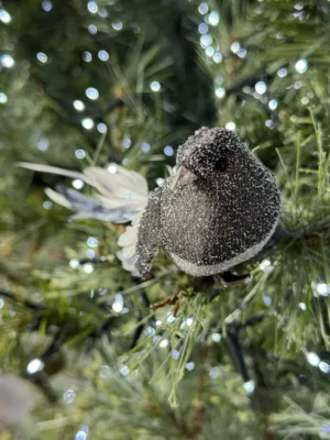 Ornement de Noël : Oiseau sur clip  - 17 cm