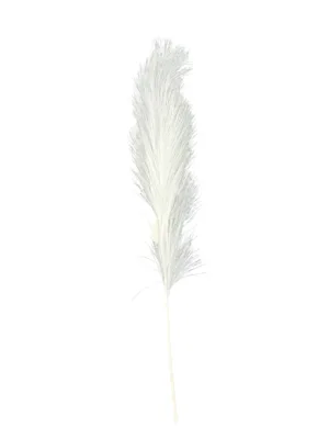 Branche décorative de Noël : branche de pampas blanche , H: 65 cm