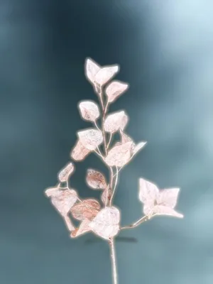Branche décorative de Noël : Feuilles de rose en rose doré, H: 76 cm